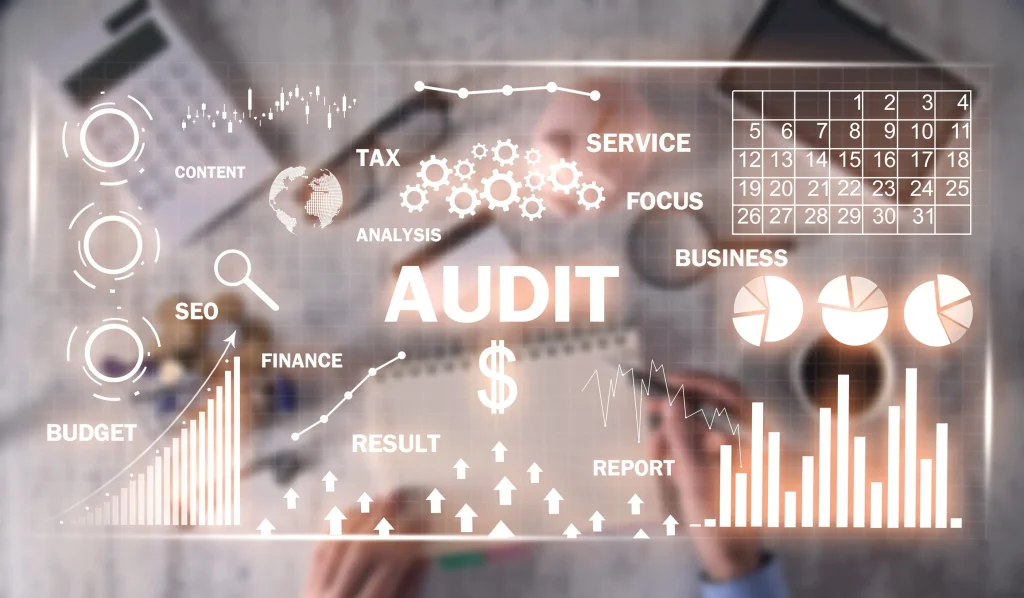 A graphic signifying audits.